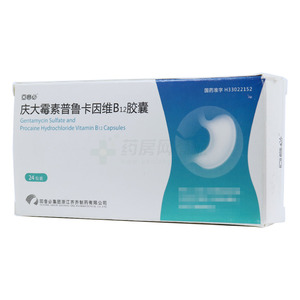 慶大霉素普魯卡因維B12膠囊(回音必集團(tuán)浙江齊齊制藥有限公司)-齊齊制藥
