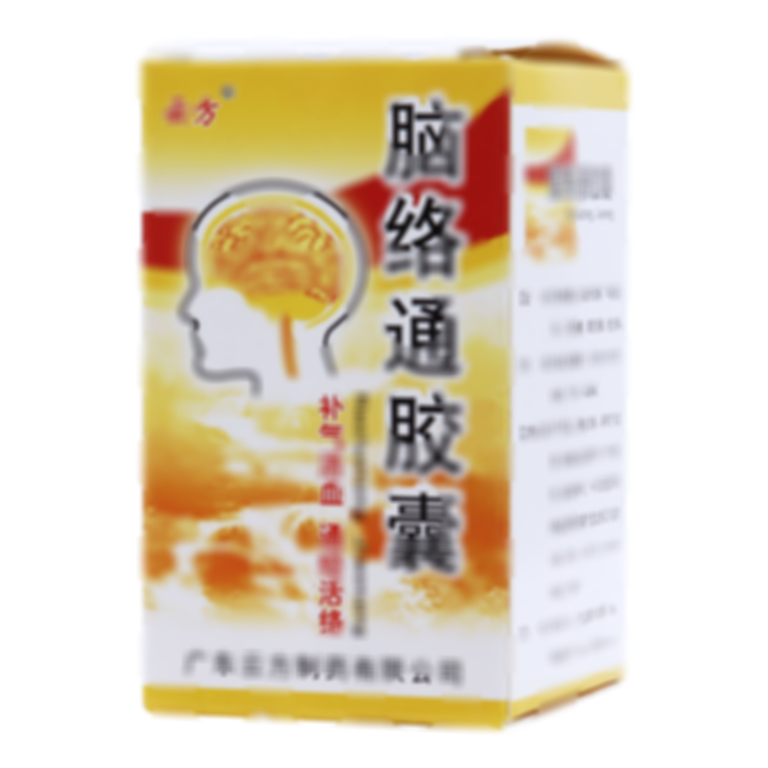 腦絡(luò)通膠囊