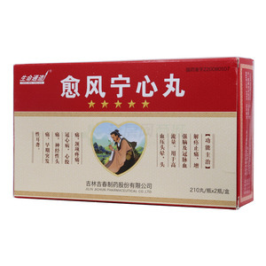 生命通道 愈风宁心丸