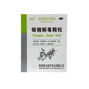 銀翹解毒顆粒(陜西紫光辰濟(jì)藥業(yè)有限公司)-辰濟(jì)藥業(yè)