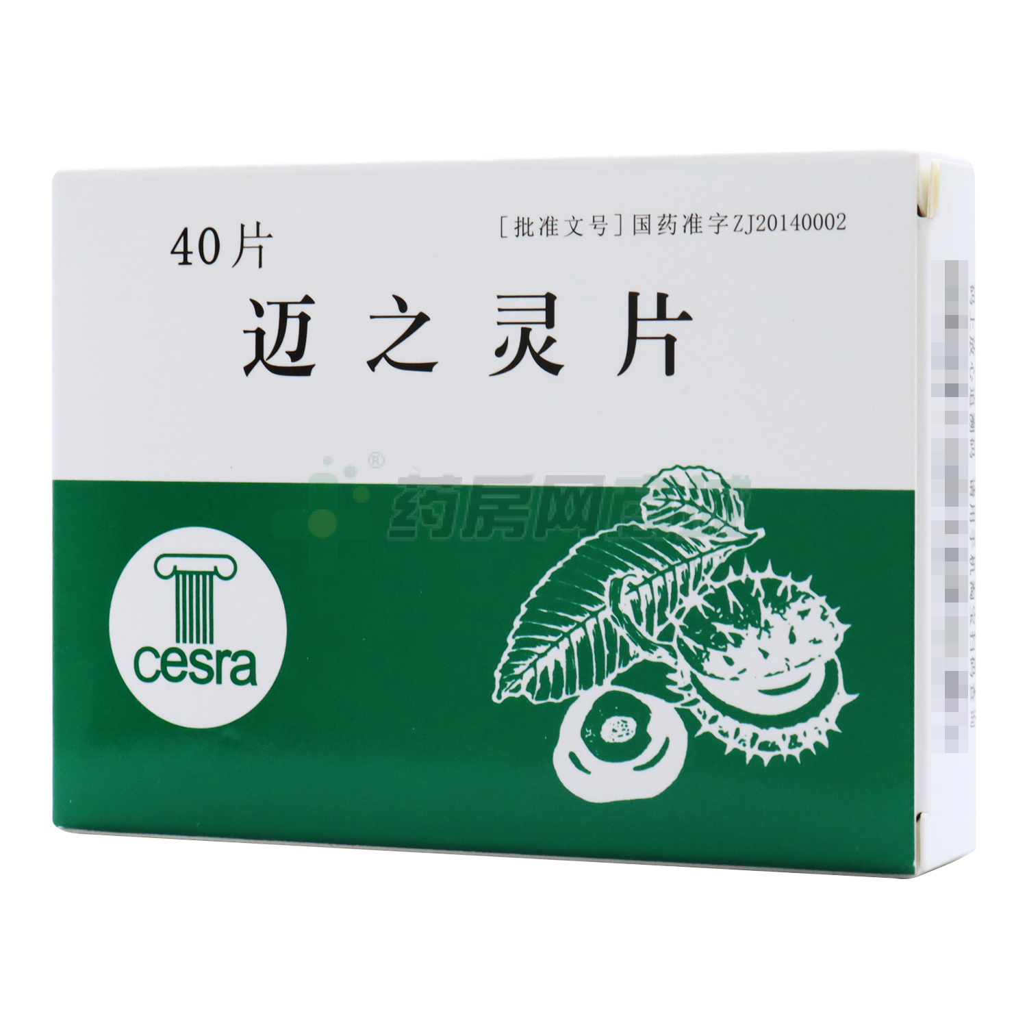 邁之靈片