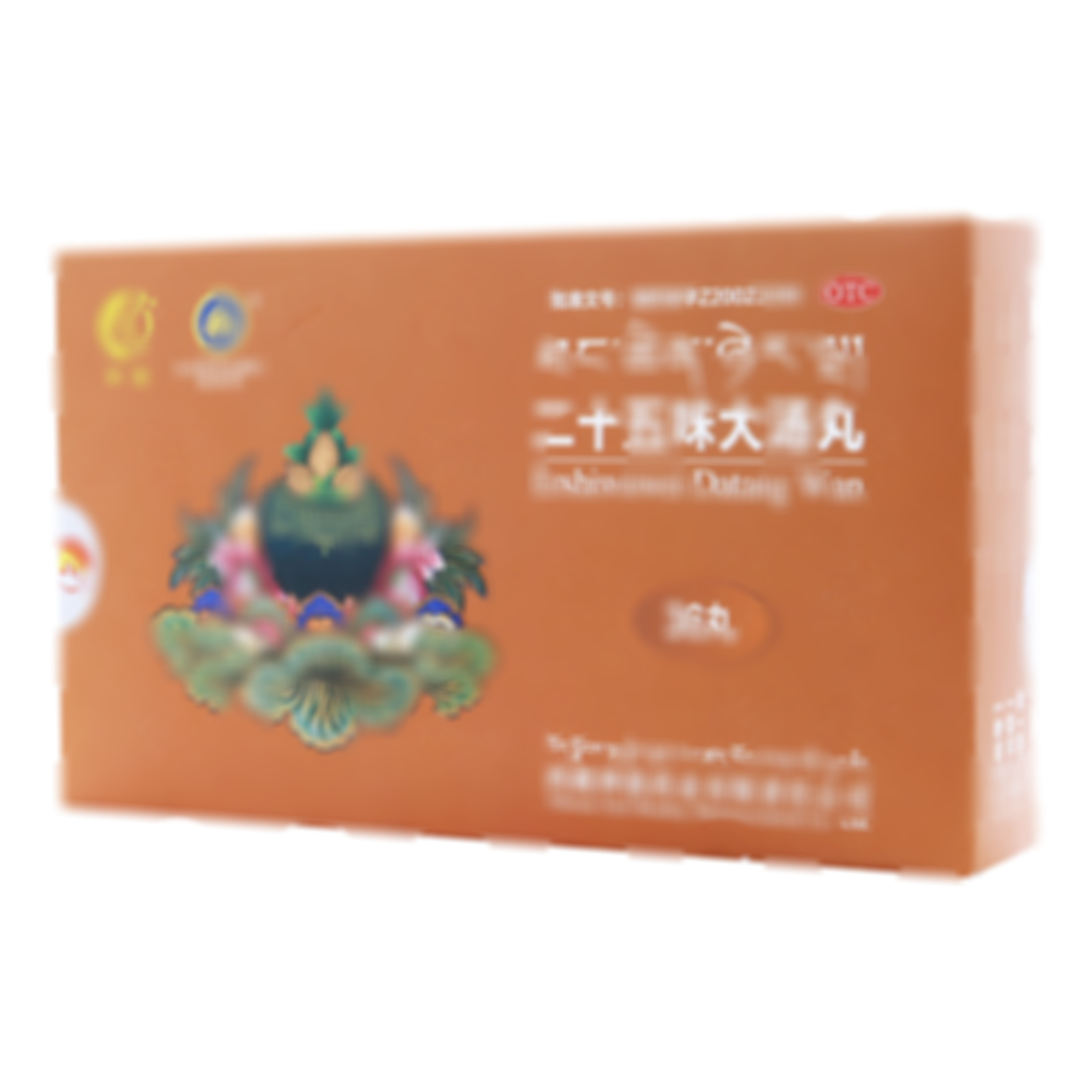 二十五味大湯丸