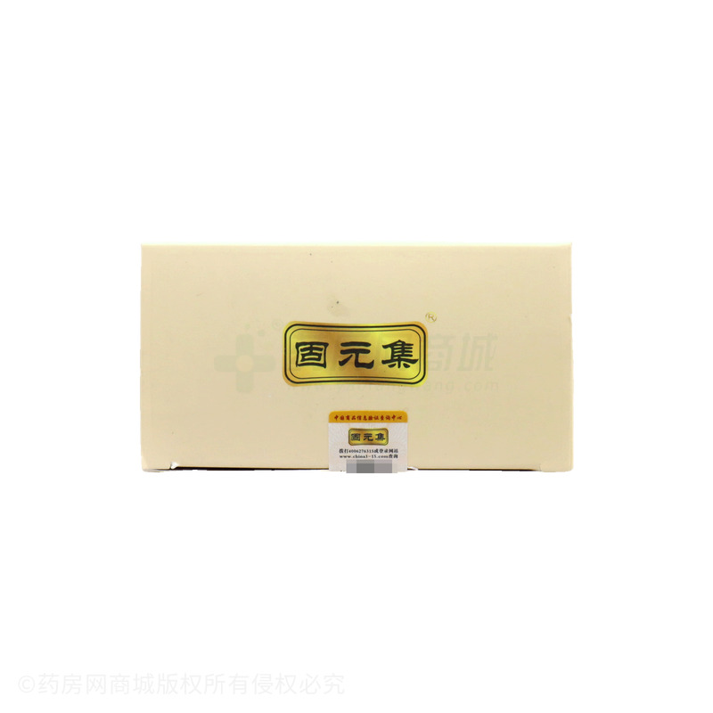 固元集 黃芪黨參豆?jié){粉 - 安徽固元集
