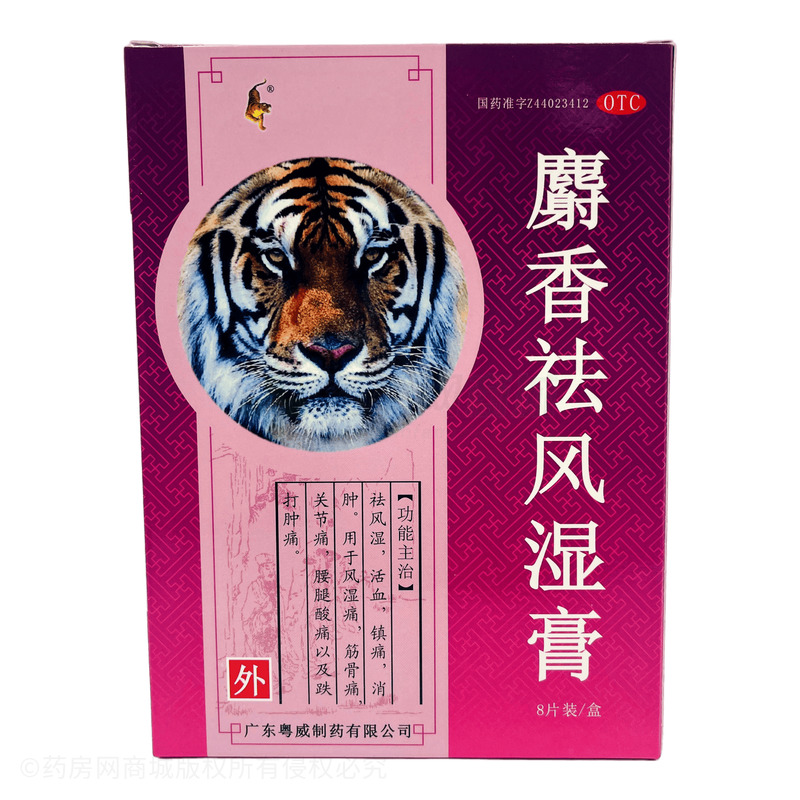 麝香祛風(fēng)濕膏 - 廣東粵威
