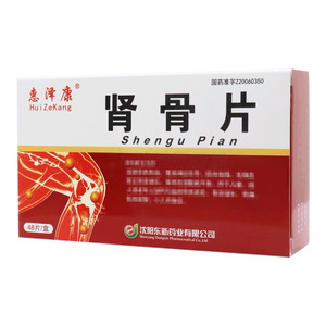腎骨片(沈陽東新藥業(yè)有限公司)-沈陽東新