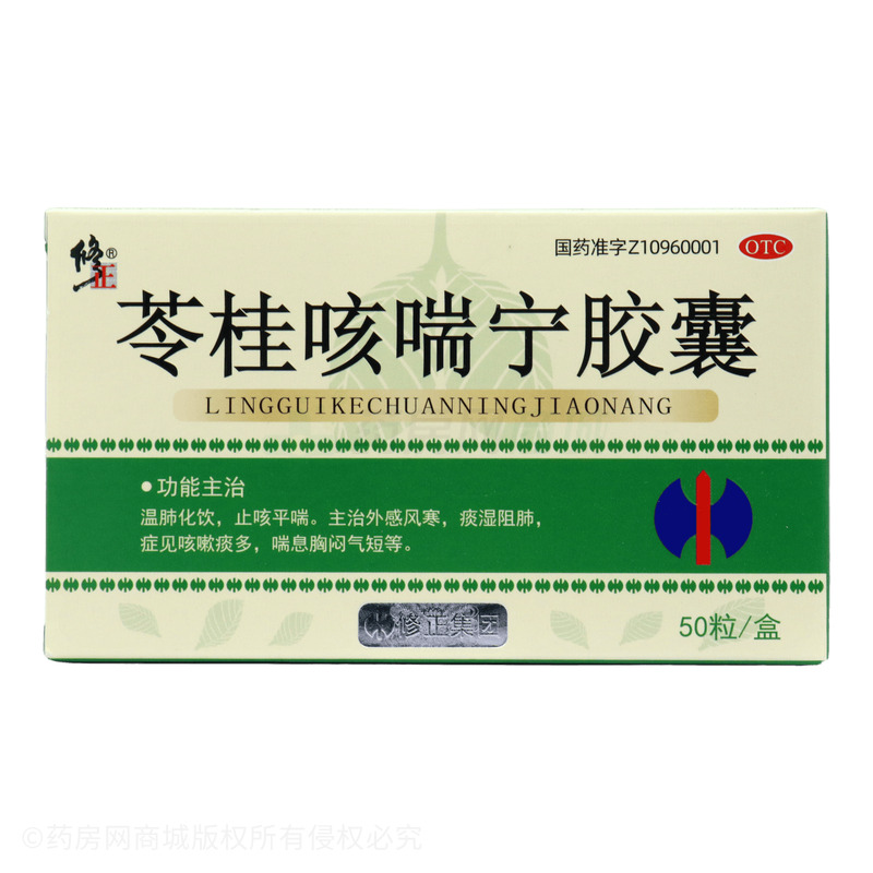 修正 苓桂咳喘寧膠囊 - 河南濟世