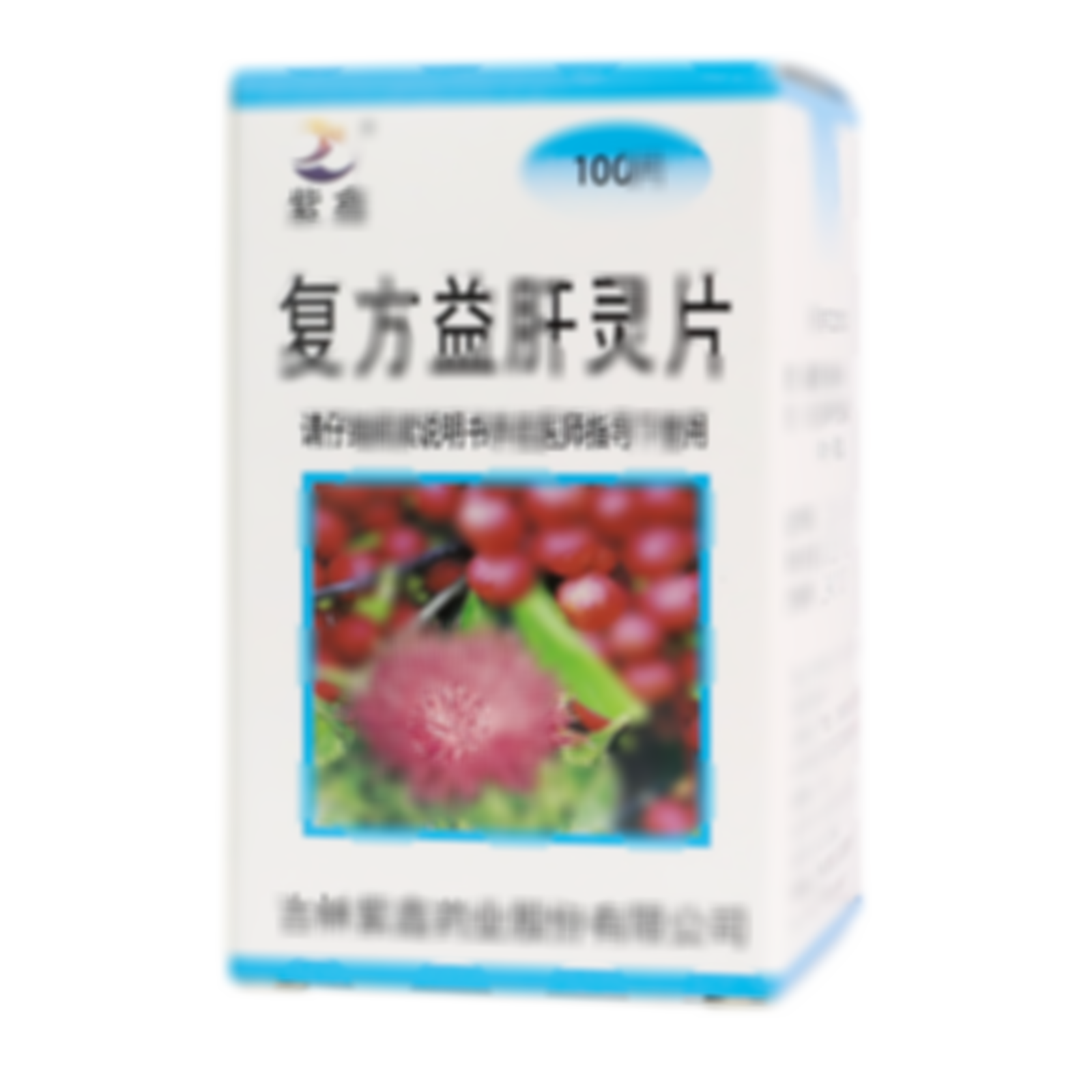 復(fù)方益肝靈片