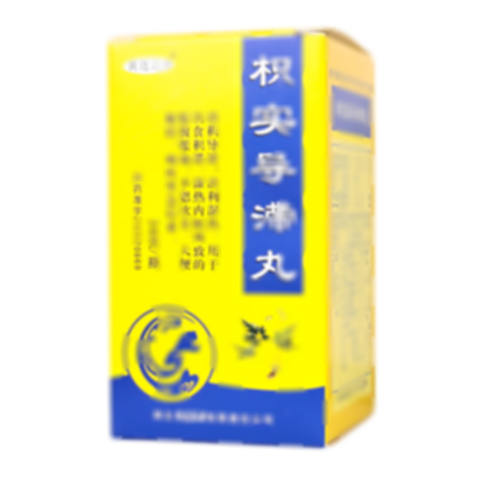 枳實(shí)導(dǎo)滯丸