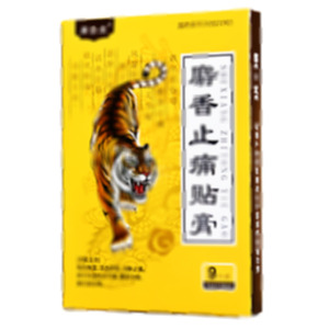 廣雲(yún)堂 麝香止痛貼膏(荊州市津奉藥業(yè)發(fā)展有限公司)-荊州津奉