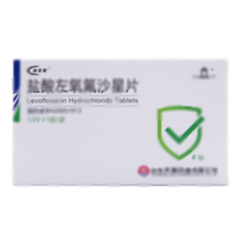 鹽酸左氧氟沙星片 - 山東齊都