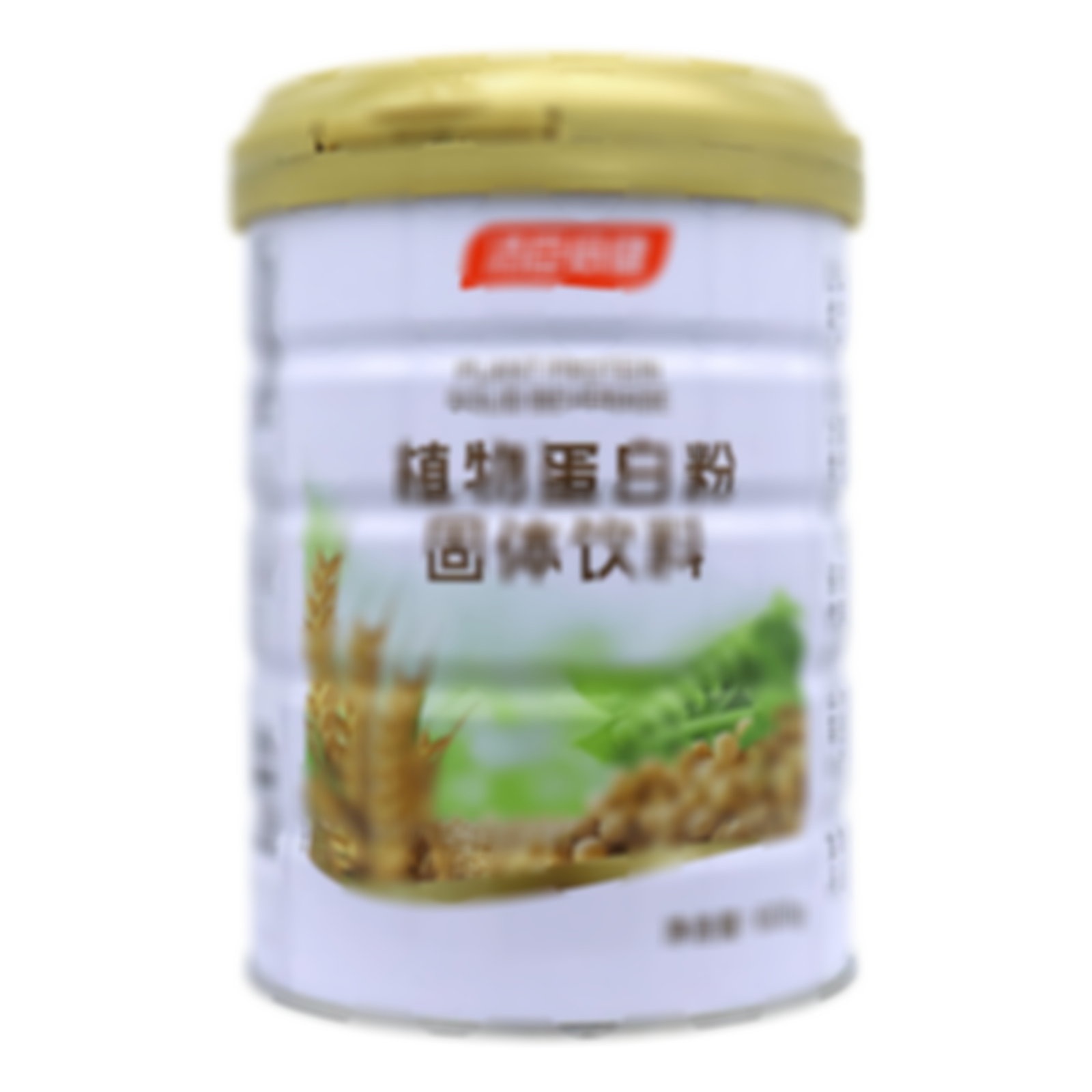 植物蛋白粉固體飲料