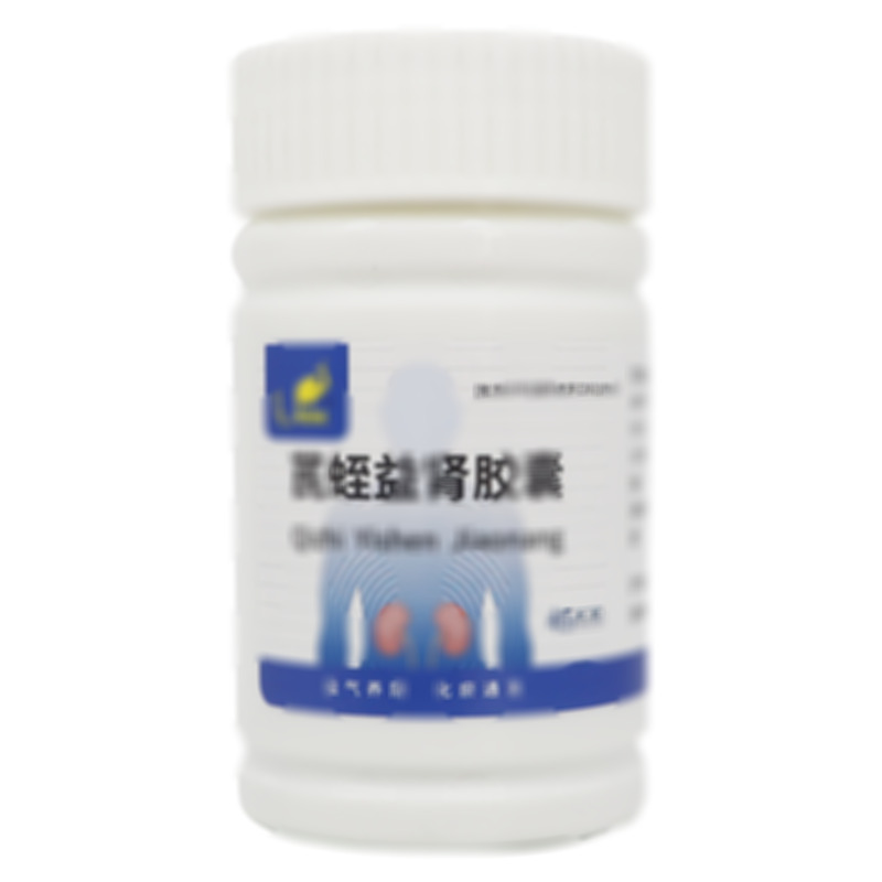 芪蛭益腎膠囊 - 山東鳳凰
