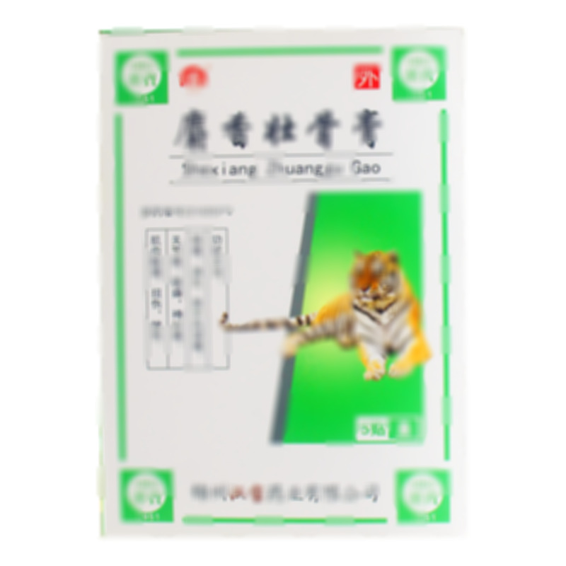 麝香壯骨膏 - 錦州漢寶