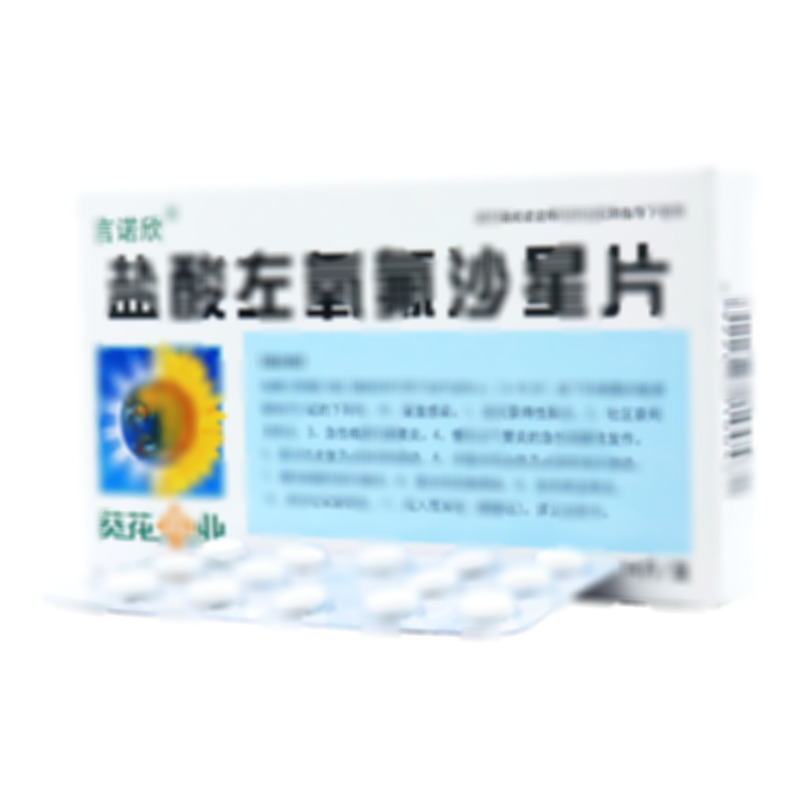 鹽酸左氧氟沙星片 - 上海桓華