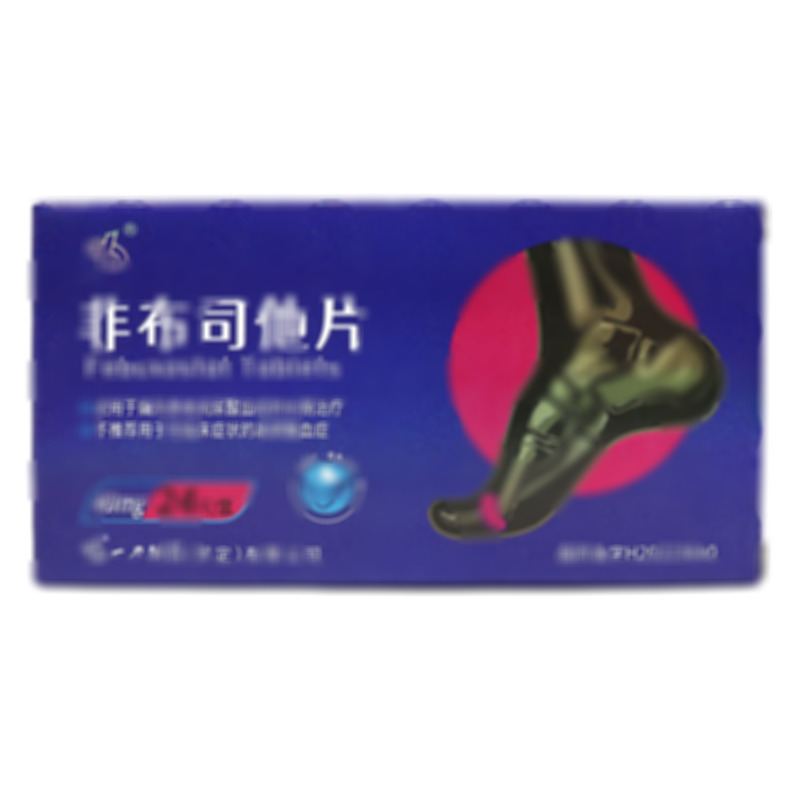 非布司他片 - 羅定制藥