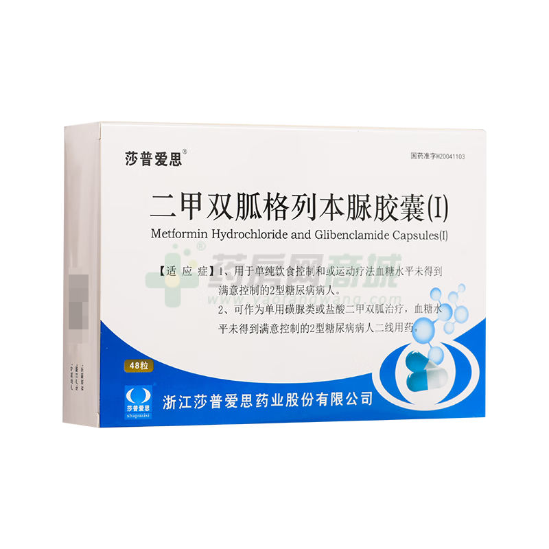二甲雙胍格列本脲膠囊(Ⅰ)