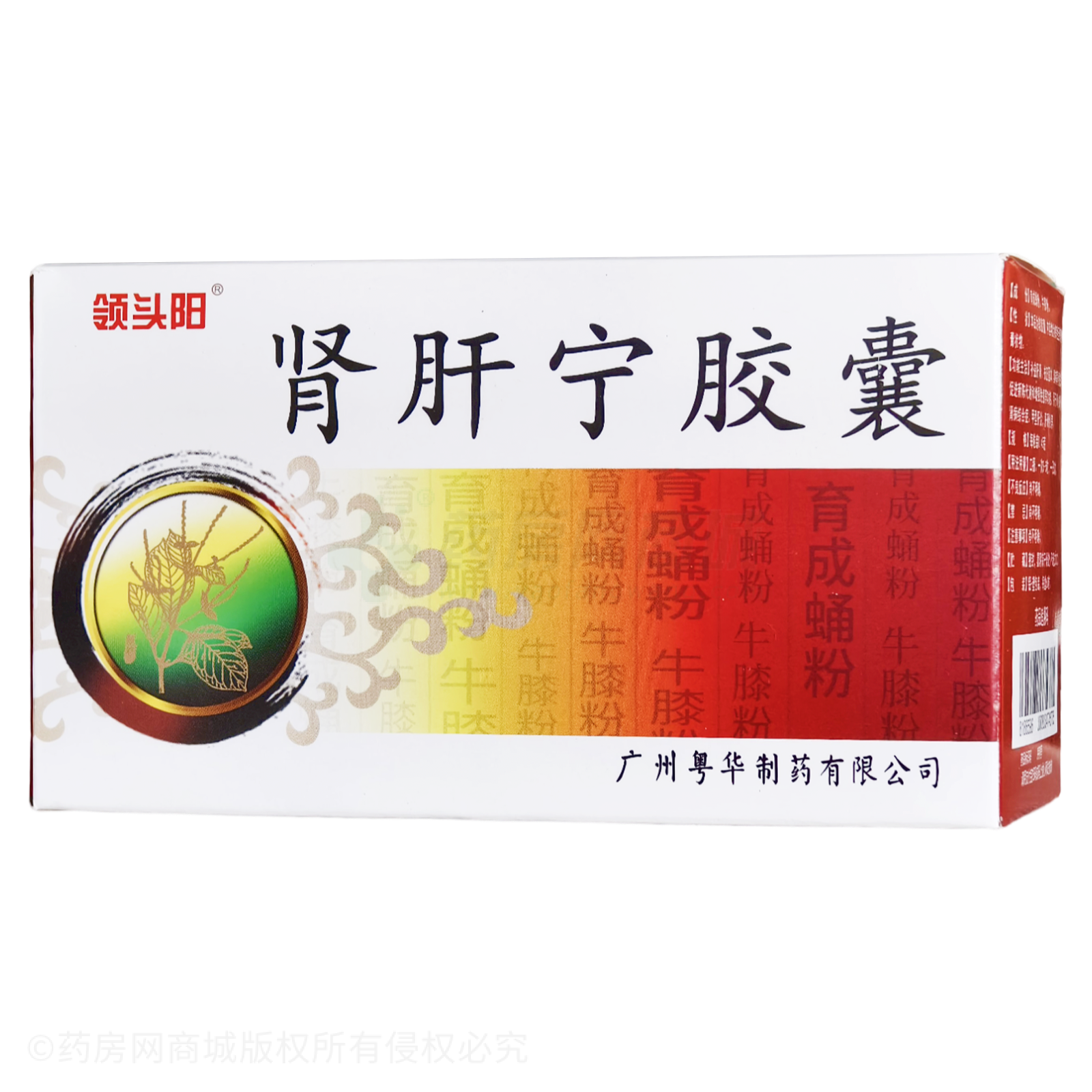 腎肝寧膠囊