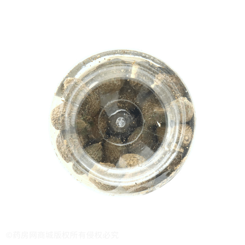 宜健聯(lián) 胖大海 - 亳州市滋草堂