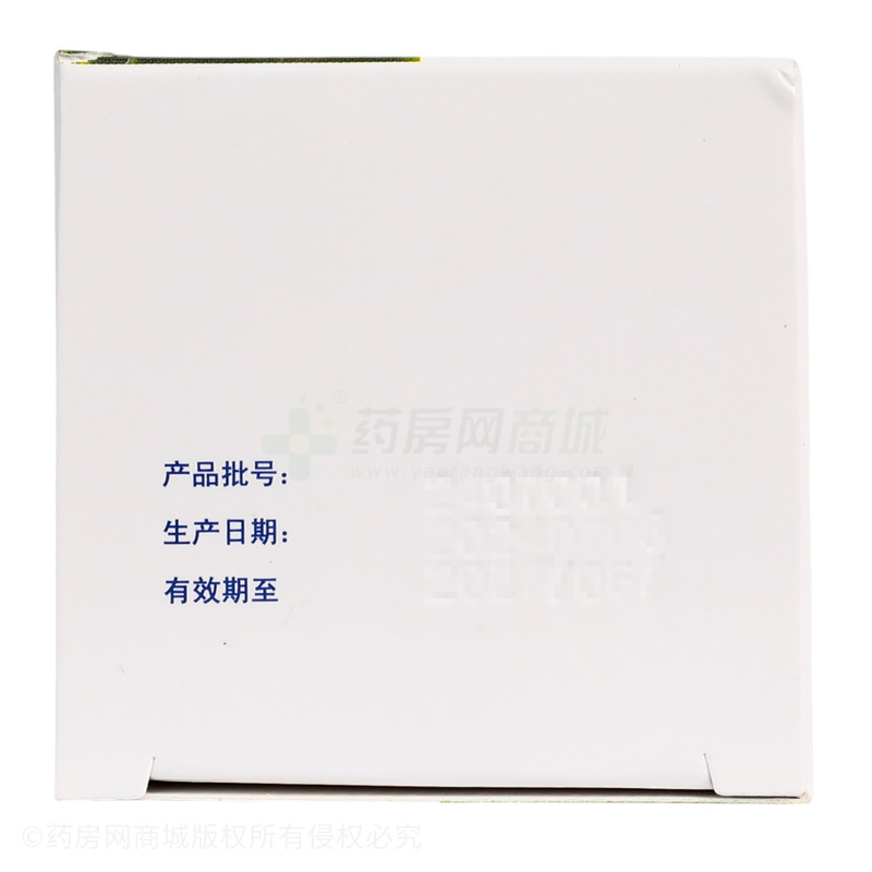 藿膽丸 - 廣州王老吉