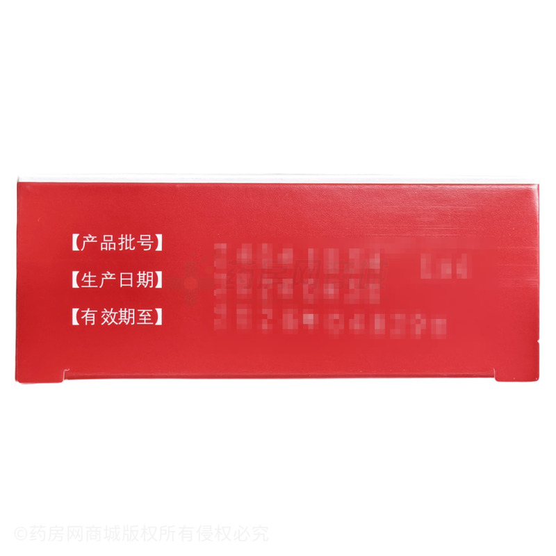 參苓白術(shù)丸 - 山東孔圣堂