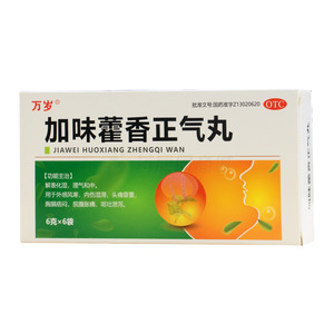 加味藿香正氣丸價格(加味藿香正氣丸多少錢)