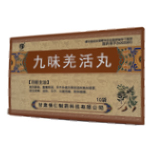 九味羌活丸(甘肅佛仁制藥科技有限公司)-甘肅佛仁