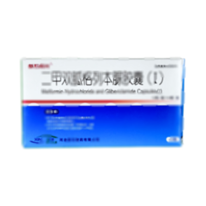 二甲雙胍格列本脲膠囊(Ⅰ)