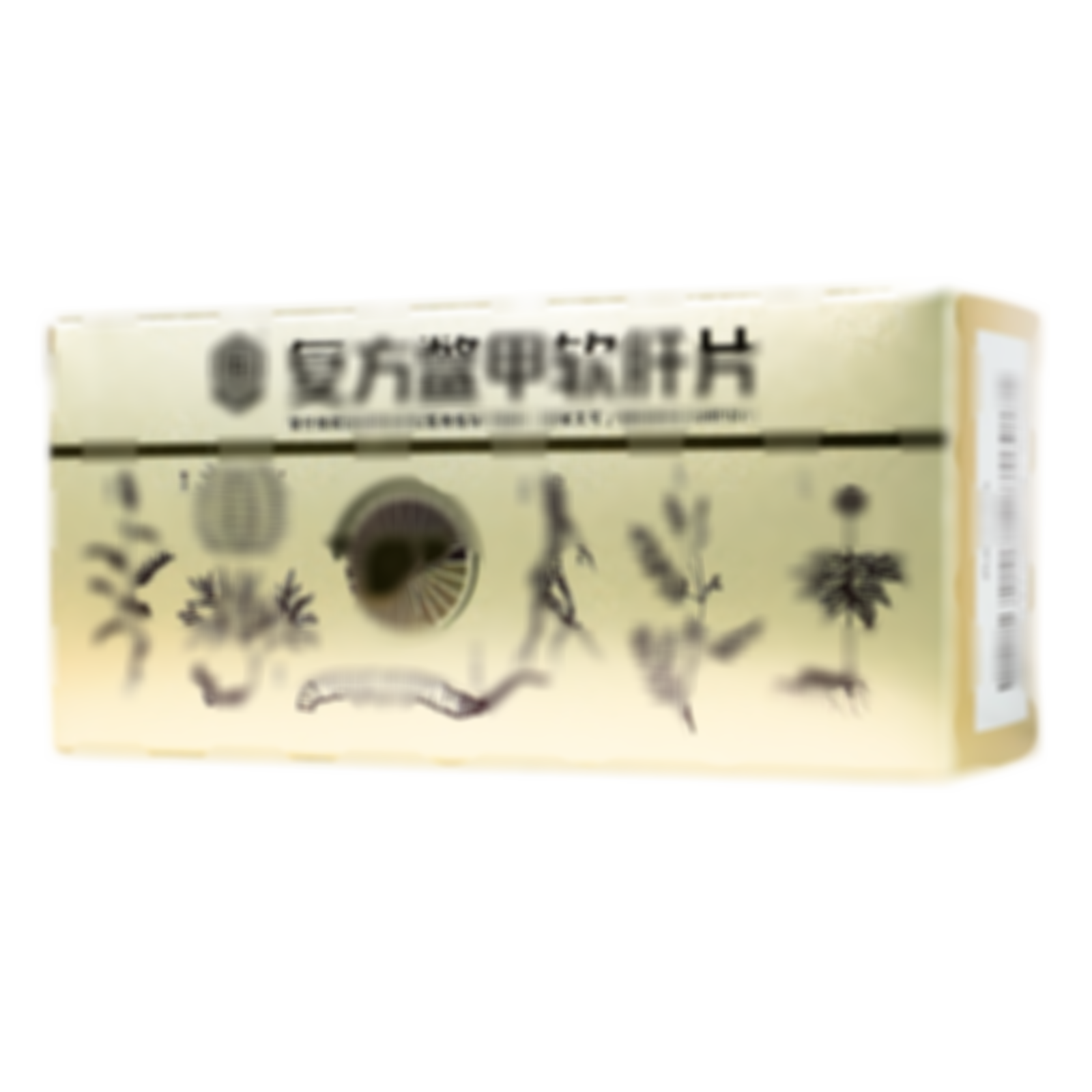 復(fù)方鱉甲軟肝片