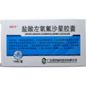 鹽酸左氧氟沙星膠囊(廣東逸舒制藥股份有限公司)-逸舒制藥