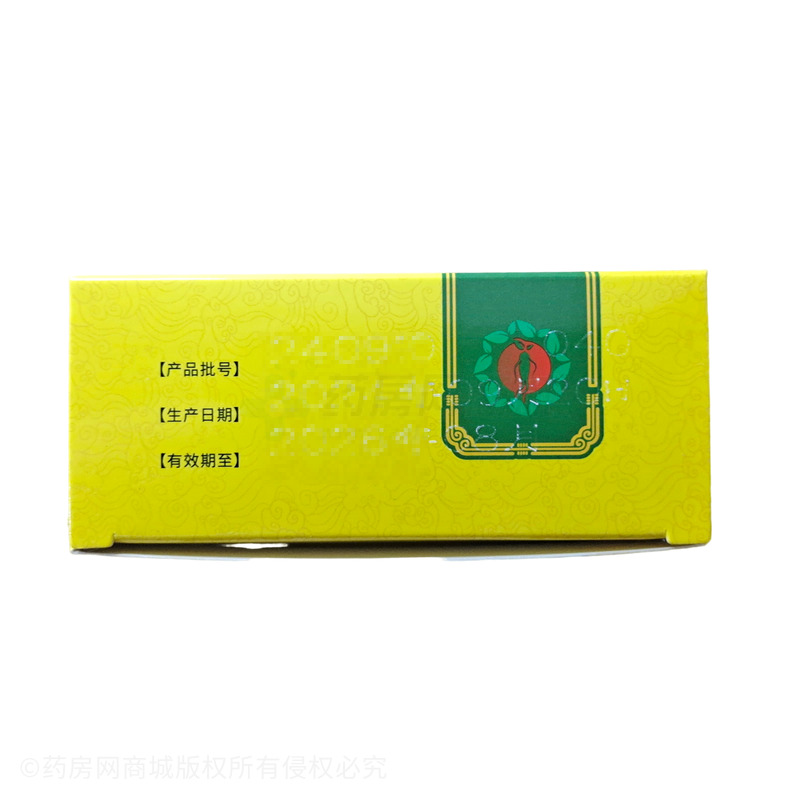 參苓白術(shù)散 - 天致藥業(yè)