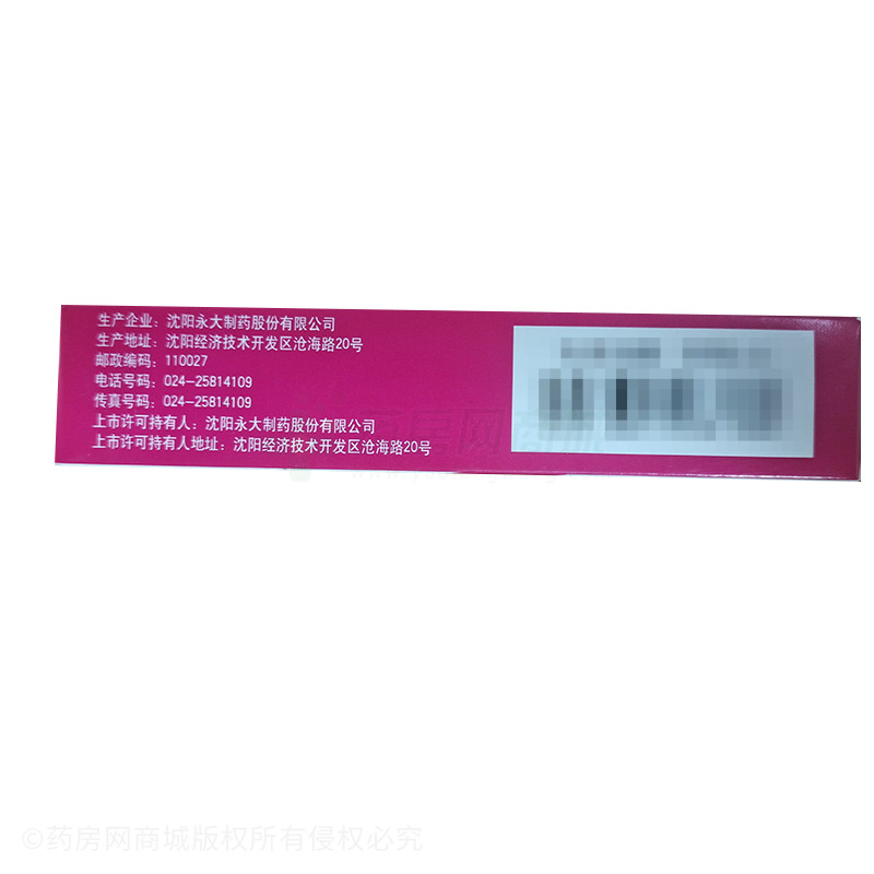 益母草膠囊 - 沈陽永大