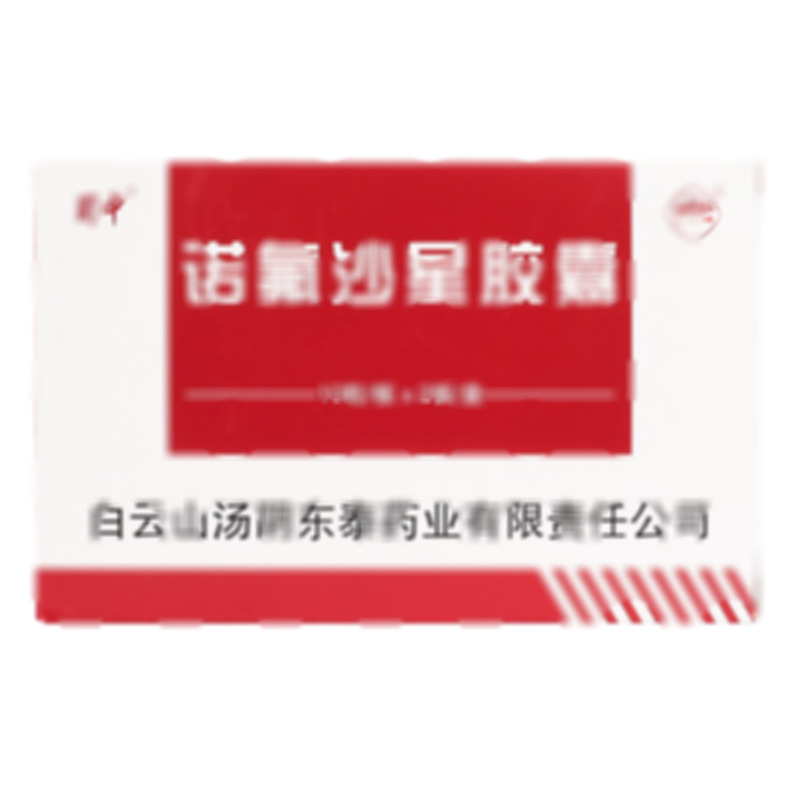 諾氟沙星膠囊 - 白云山東泰