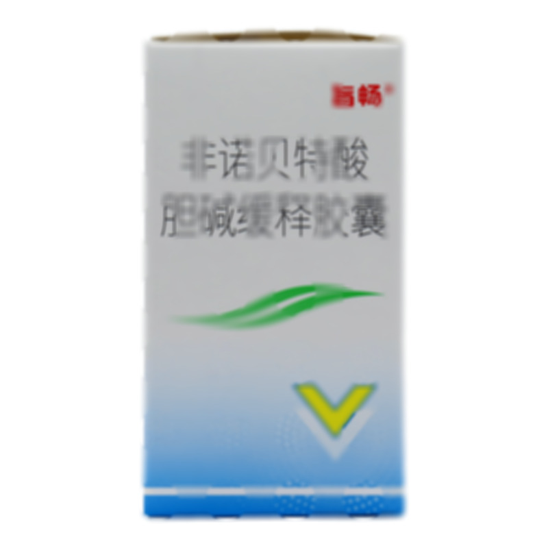 非諾貝特酸膽堿緩釋膠囊 - 吉林天衡英睿