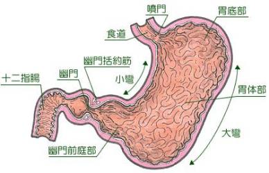 少儿患肠胃炎的原因有哪些?少儿患肠胃炎该如何进行治疗?