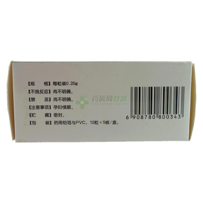 肾炎灵胶囊