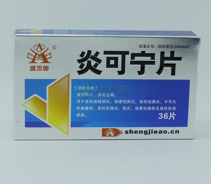 【盛杰奥】炎可宁片(0.32gx12片x3板/盒) - 桂林兴达