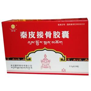 金诃 秦皮接骨胶囊(0.3gx12粒x2板/盒)