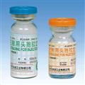 注射用头孢拉定(0.5gx10瓶/盒)