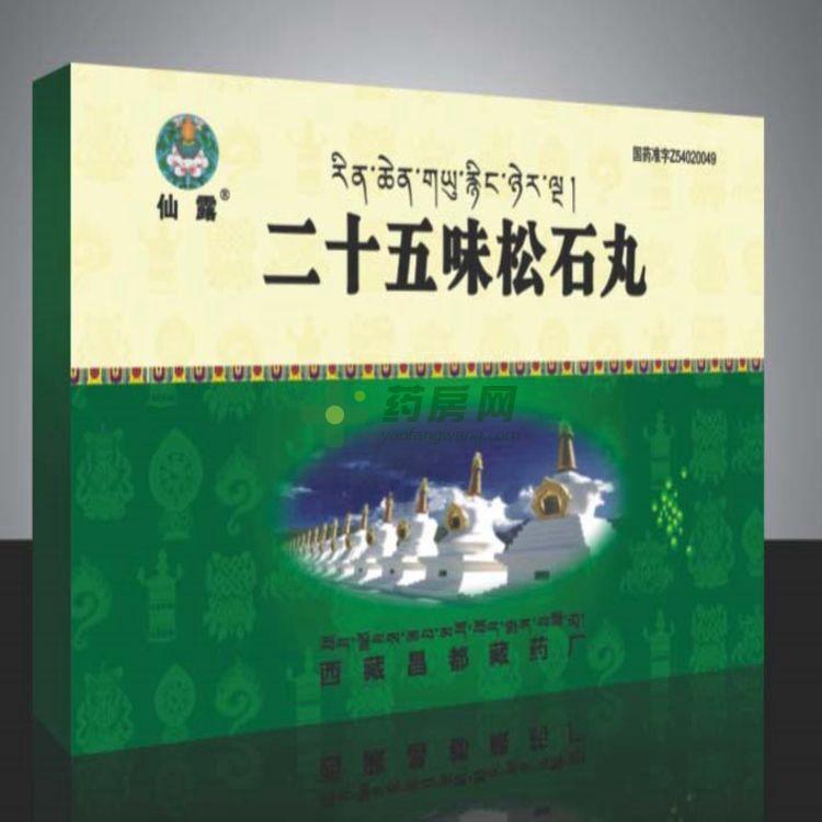 二十五味松石丸(1g)