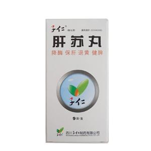 肝苏丸(2.5gx9袋/盒)