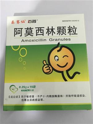 石藥 阿莫西林顆粒價格(石藥 阿莫西林顆粒多少錢)