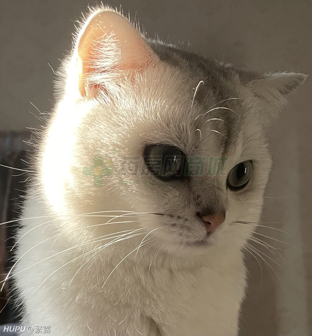 第二类医疗器械经营备案凭证