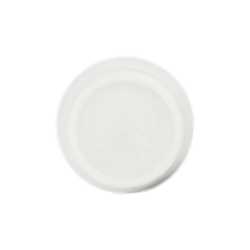 石淋通片 - 禅方药业