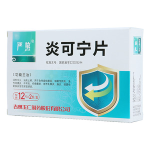 严煞 炎可宁片价格(严煞 炎可宁片多少钱)