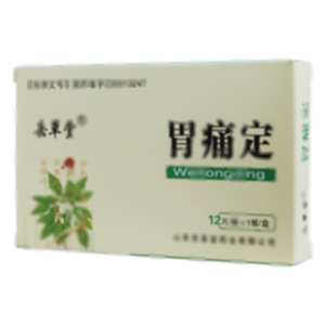胃痛定(山东岳草堂药业有限公司)