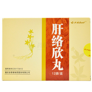 肝络欣丸(12gx12袋/盒)