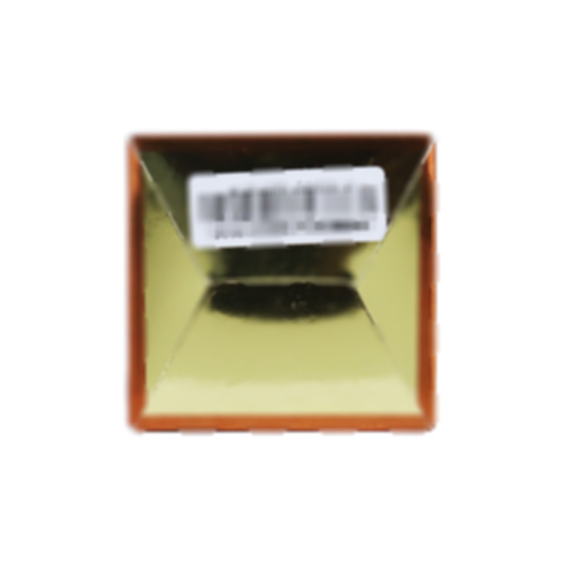 金匮肾气丸 - 承德御室金丹