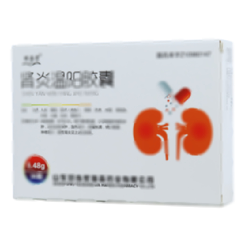 肾炎温阳胶囊