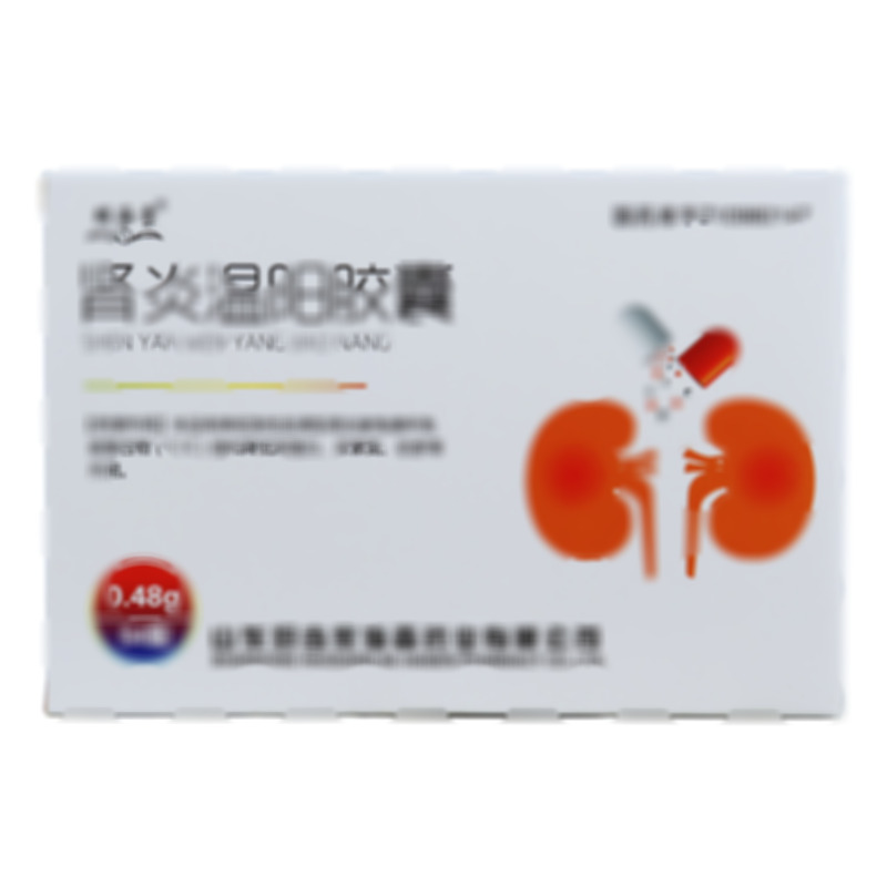 肾炎温阳胶囊
