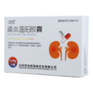 肾炎温阳胶囊(山东好当家海森药业有限公司)